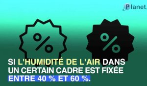 Covid-19 : faut-il humidifier l'air ?