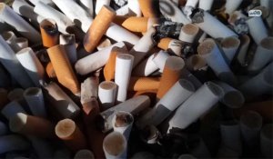 La nicotine, bonne protectrice mais mauvaise défenseure contre le Covid-19