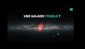 Les vestiges d'une ancienne galaxie découverts au centre de la Voie Lactée