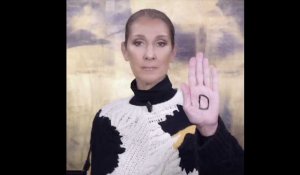 Céline Dion harcelée par un homme, son témoignage choc (vidéo)
