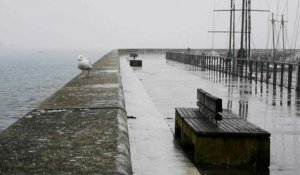 Météo: premiers flocons de neige sur Brest