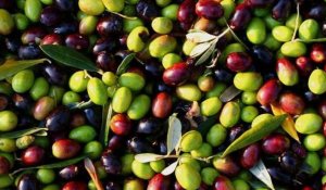 L'huile d'olive espagnole souffre des taxes américaines - et Joe Biden n'a rien changé