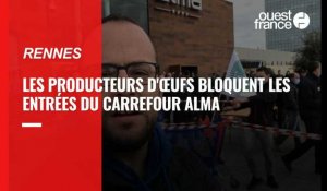 VIDÉO. Les producteurs d'oeufs bloquent le Carrefour Alma