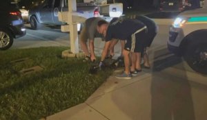 UGC: une femme trouve un alligator dans son garage en Floride