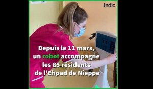 Nieppe: Cutii, le petit robot qui accompagne les personnes âgées
