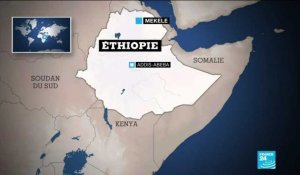 Éthiopie - Conflit au Tigré : l'Érythrée accusée de tuerie de masse selon Amnesty