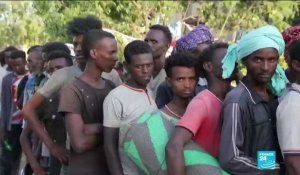 Éthiopie - Combat au Tigré : des soldats érythréens ont massacré des civils selon Amnesty