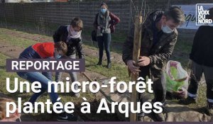Une micro-forêt va pousser à Arques