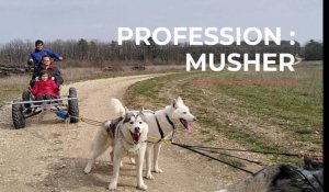 Profession : musher