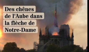 Des chênes aubois dans la flèche de Notre-Dame