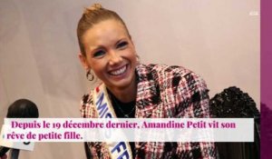 Miss France 2021 : Amandine Petit représentante de la France à Miss Univers