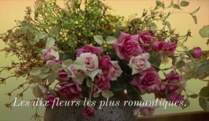 Saint-Valentin : les dix fleurs les plus romantiques