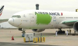 Roissy: des militants de Greenpeace repeignent un avion en vert