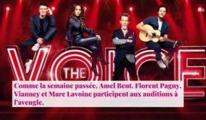 The Voice : The Vivi exclu du concours pour avoir posté des tweets racistes et homophobes