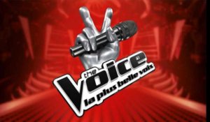 "TheVivi" exclu de The Voice France à cause d'anciens tweets