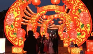 Chine: Wuhan fête le Nouvel An lunaire