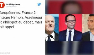 Débat européennes. Le Conseil d'État donne raison à France TV contre Hamon, Asselineau et Philippot