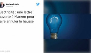 Prix de l'électricité : deux associations demandent à Emmanuel Macron d'empêcher une hausse des tarifs