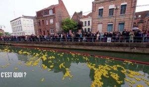 Tout savoir sur le Douai Ducks Day en moins d'une minute