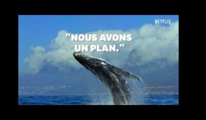 Jour de la Terre : Le narrateur de &quot;Notre Planète&quot; sur Netflix a un message d&#39;espoir