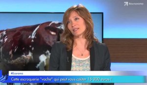 Cette escroquerie "vache" qui peut vous coûter 15 000 euros !