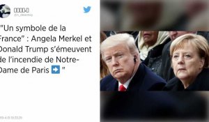 Incendie de Notre-Dame-de-Paris : Trump suggère d'envoyer des Canadairs