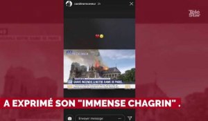 PHOTOS. Incendie de Notre-Dame de Paris : Cyril Hanouna, Nagui, Laurence Boccolini... les stars de la télé touchées