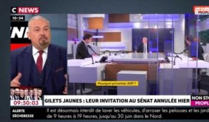 Morandini Live : les gilets jaunes ont-ils leur place au Sénat ? (vidéo)