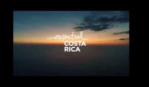TASTE OF COSTA RICA x TRACE - TEASER