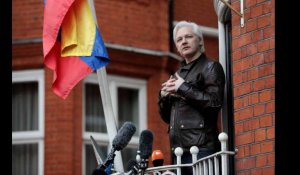 Julian Assange, fondateur de WikiLeaks, arrêté par la police britannique dans l'ambassade d'Équateur