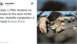 Libye. La France bloque un communiqué de l'UE condamnant le maréchal Haftar