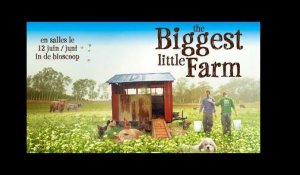 THE BIGGEST LITTLE FARM || bande annonce-trailer || release BE 12/06/19