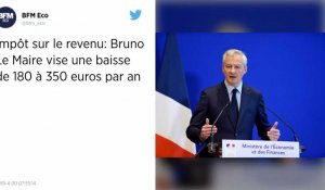 Impôt sur le revenu. Bruno Le Maire vise une baisse de 180 à 350 euros par an et par ménage