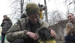 Ukraine: des chiens pour soigner le stress post-traumatique des soldats