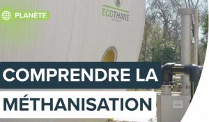 Méthanisation : comment une station d'épuration transforme ses déchets en énergie verte ? | Futura