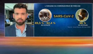 Covid-19 et théories du complot : 26% des Français pensent que le virus a été créé en laboratoire