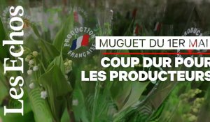 Le muguet, l'autre grand perdant de la crise du coronavirus