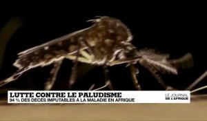 Le lutte contre le paludisme éclipsée par la pandémie de COVID-19