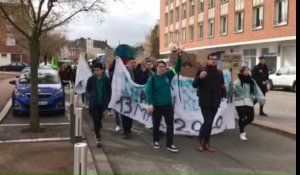 Manifestation pour le climat dans le centre-ville de Douai