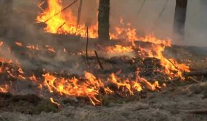 Ukraine : Le feu de forêt continue de s'étendre près de Tchernobyl