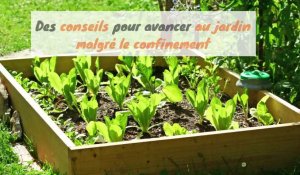 DAINVILLE Des conseils pour le jardin pendant le confinement