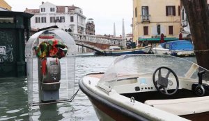 En Italie, l'eau des canaux de Venise se clarifie.
