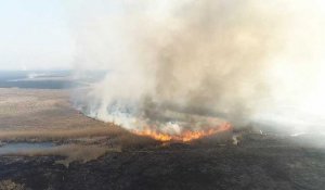 Pologne : le parc de Biebrza en proie aux flammes