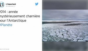 Climat : Antarctique : le mystère de l'année 2014 intrigue les scientifiques