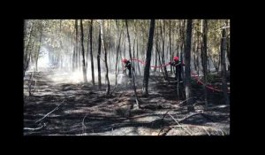 Parigné l'Evêque. Sarthe Plus de dix hectares de forêts en feu lundi 29 juillet après-midi