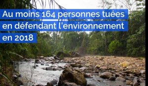 Au moins 164 personnes tuées en défendant l'environnement en 2018