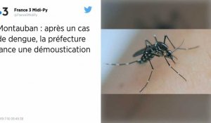 Tarn-et-Garonne : Un cas de dengue diagnostiqué à Montauban, une opération de démoustication lancée