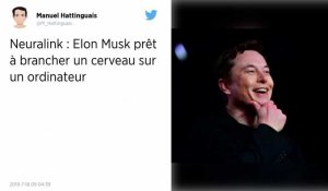 Elon Musk rêve d'un cerveau connecté à la machine
