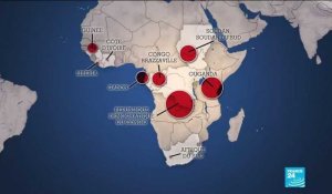 Épidémie d'Ebola en RDC : portrait d'un virus tueur