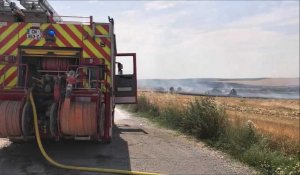Une presse agricole prend feu, quinze hectares de blé détruits à Solesmes